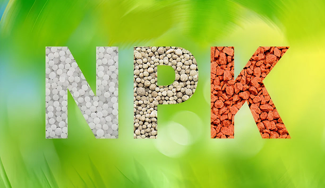 https://longdang.com.vn/wp-content/uploads/2025/03/Nong-nghiep.png